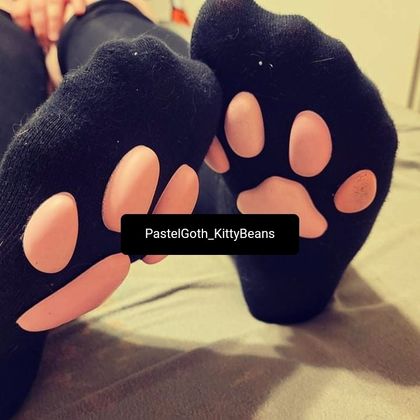 kittywitabeanie OnlyFans picture