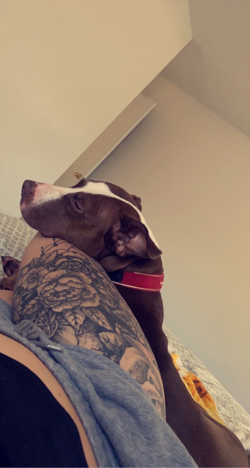 leeann97 OnlyFans profile picture