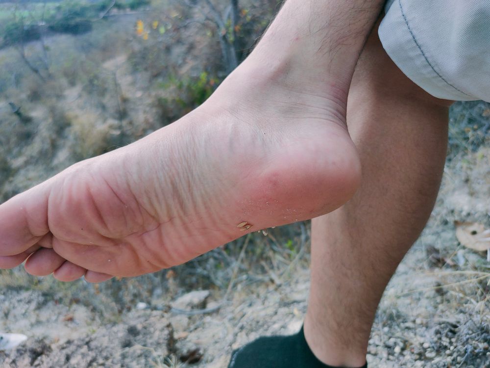 latinnaturalfeet OnlyFans profile picture