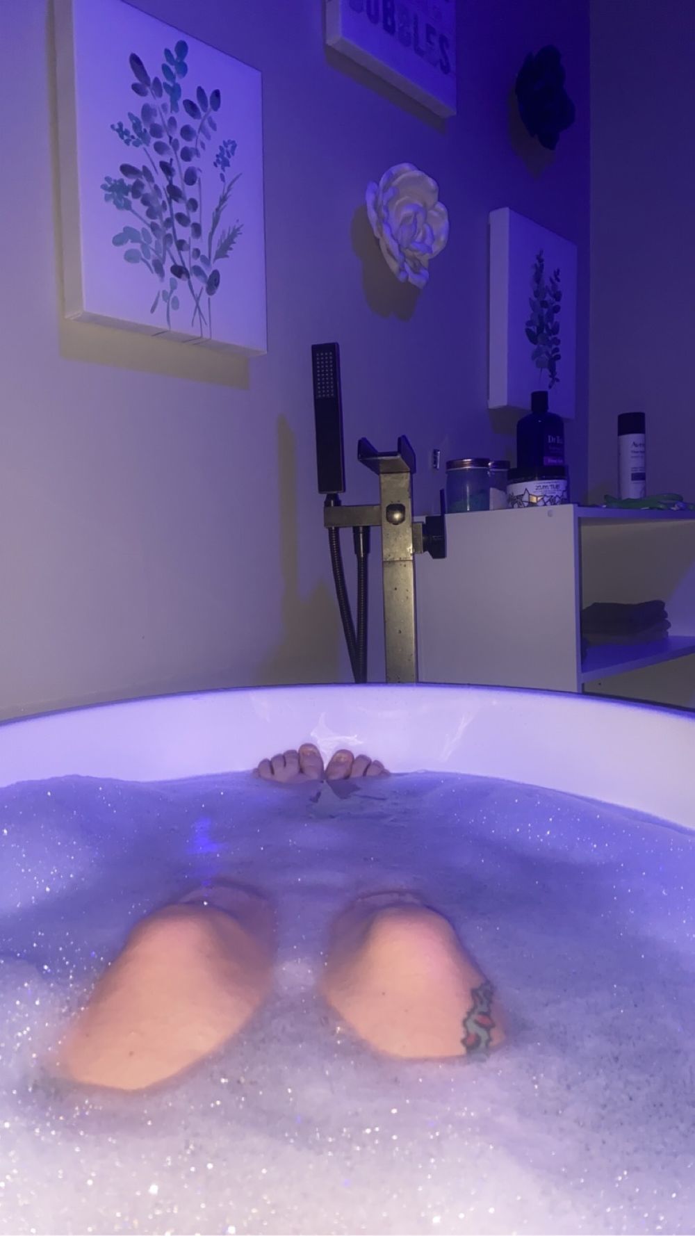 stoneysteph710 OnlyFans profile picture