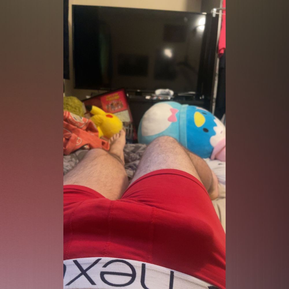 willoboy OnlyFans profile picture