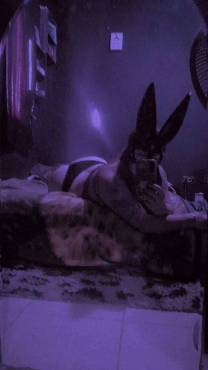 rebekatoficial OnlyFans profile picture