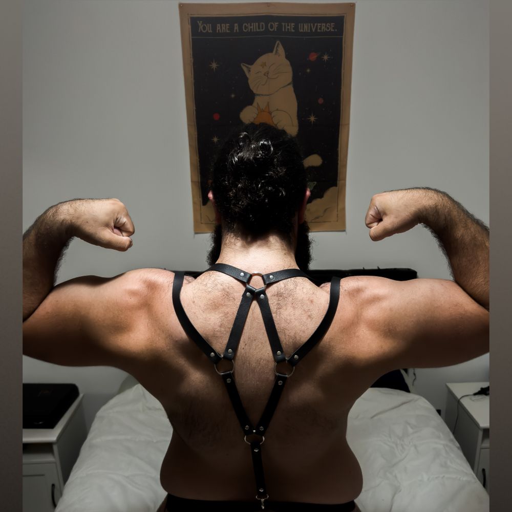 daddybear544 OnlyFans profile picture