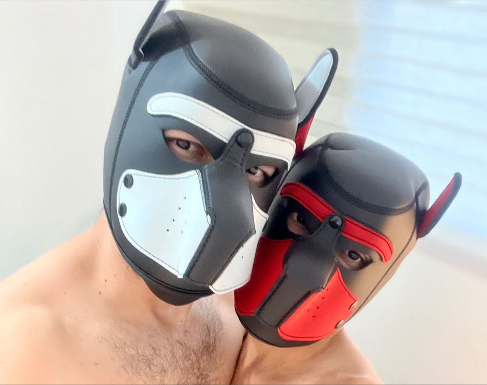 gaycouplefree OnlyFans profile picture