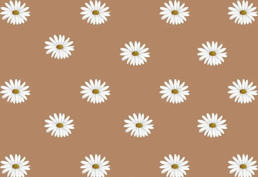 soft-edges OnlyFans profile picture