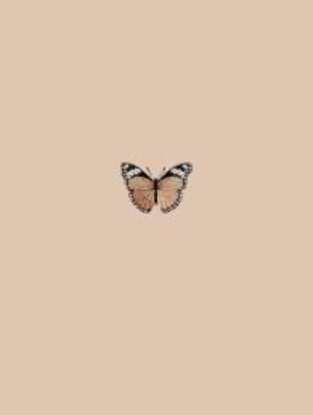 rayraybekah OnlyFans profile picture
