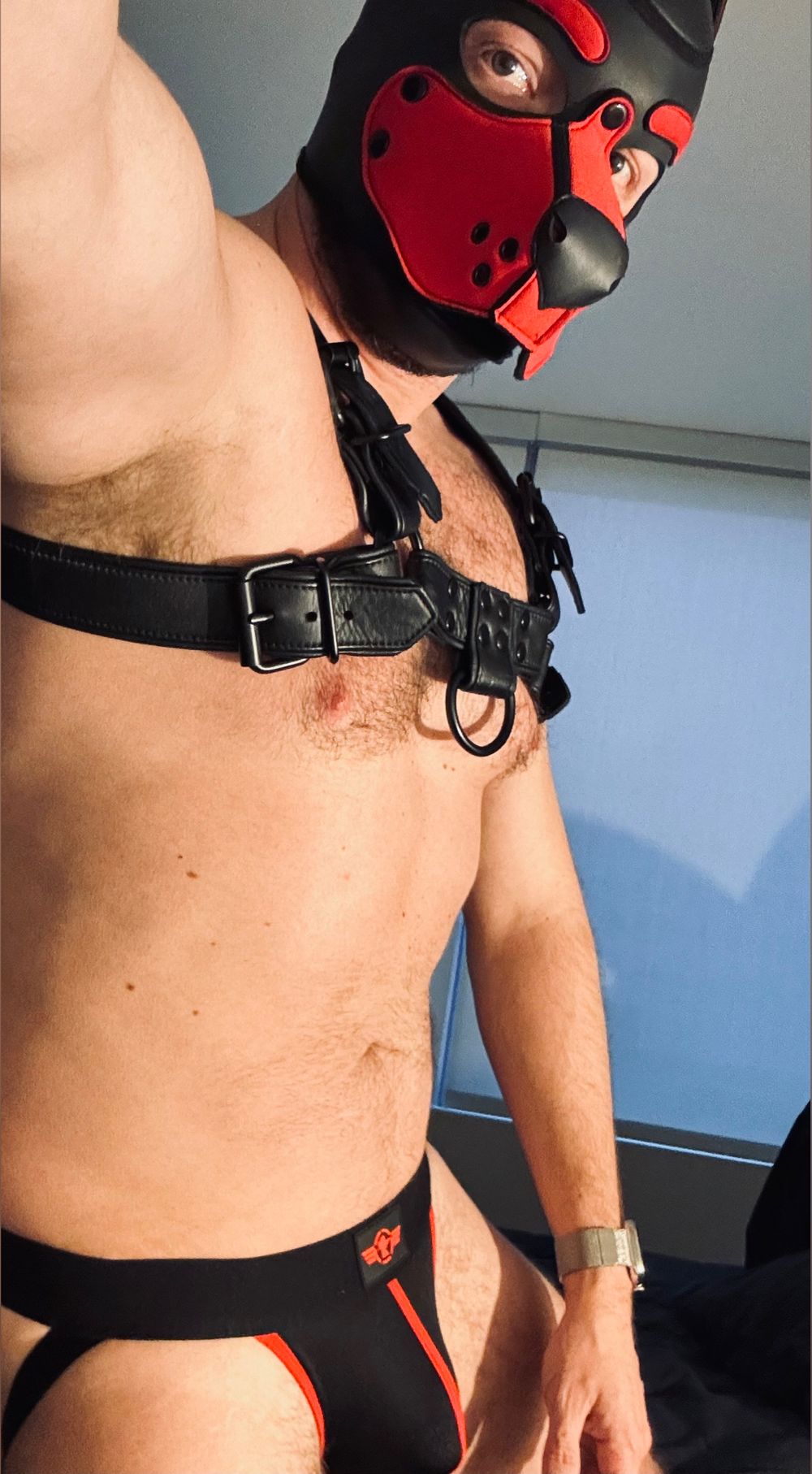 puplincoln OnlyFans profile picture