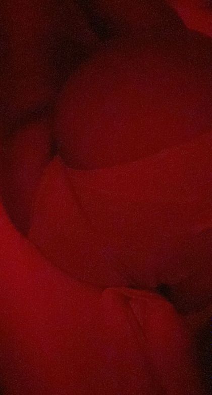 lyssbliss93 OnlyFans picture