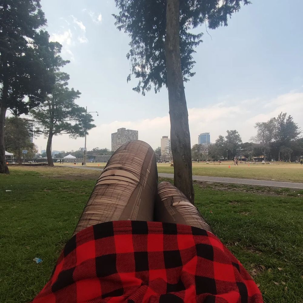 zeyyalenz OnlyFans profile picture
