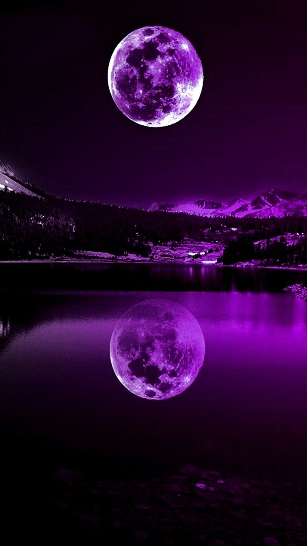 purplehaze.1996 OnlyFans profile picture