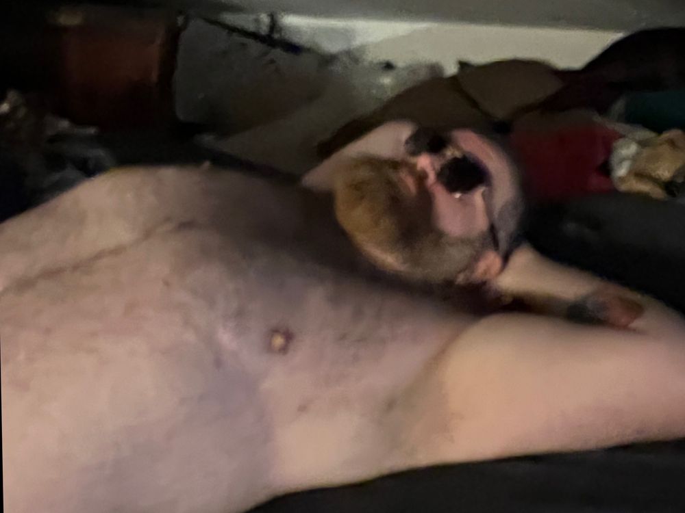 maskedbearof OnlyFans profile picture