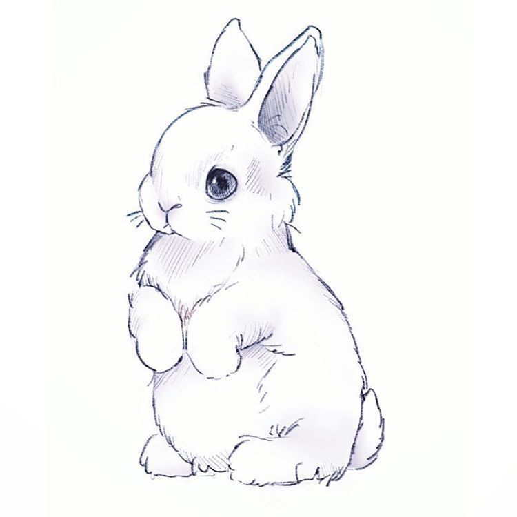 bunnyduo OnlyFans profile picture
