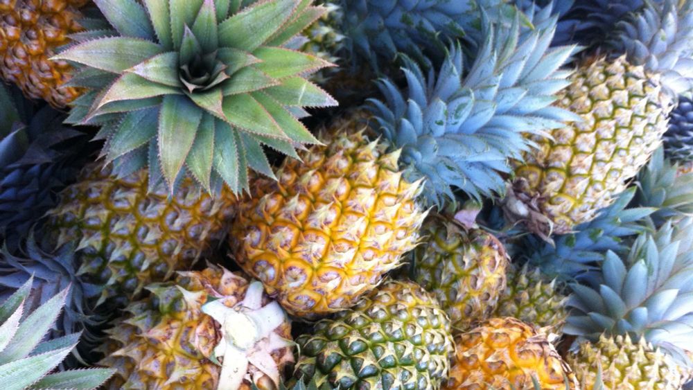 tiny_pineapples OnlyFans profile picture
