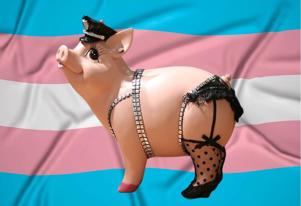 oinkhot OnlyFans profile picture