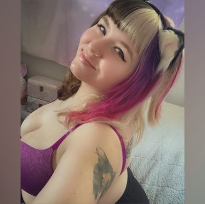 kittykat4u OnlyFans picture