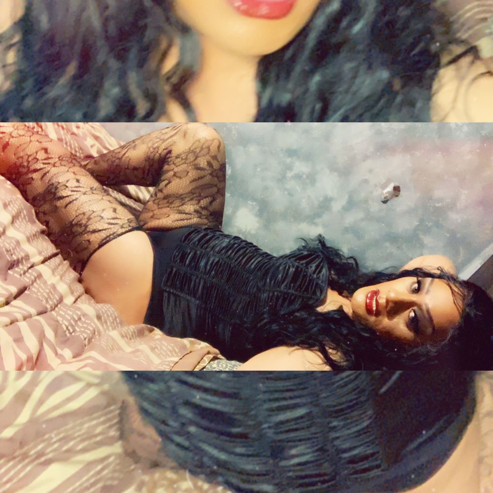 tgirldeedee OnlyFans profile picture