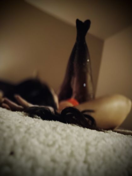 xxxstellarosexxx OnlyFans picture