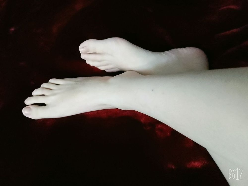 wendyfeet OnlyFans profile picture