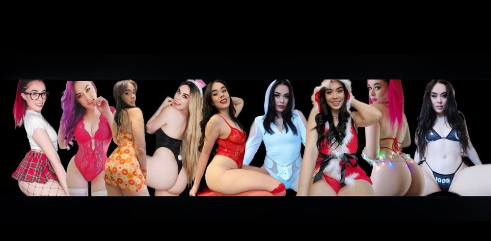 asswonderland OnlyFans profile picture