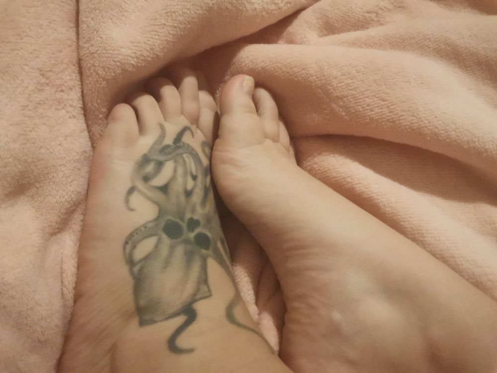 shy.feet OnlyFans profile picture