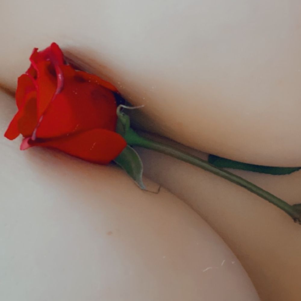 chubiebunnie225 OnlyFans profile picture