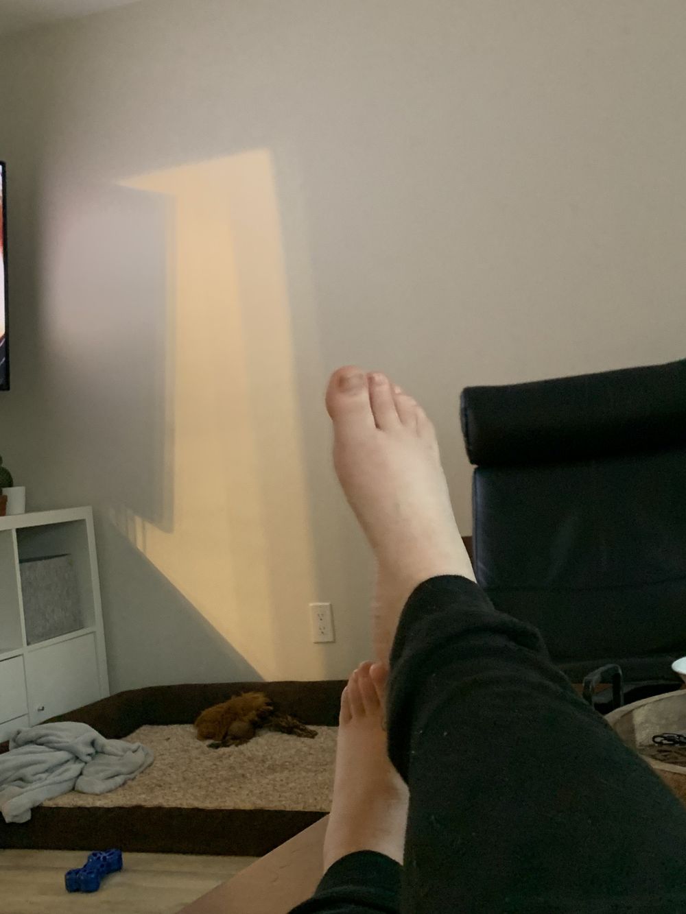 naturalfeet69 OnlyFans profile picture