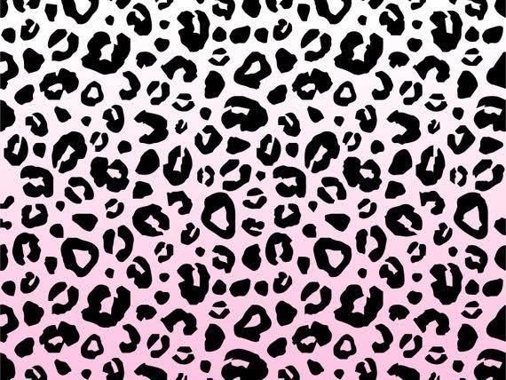 hamini OnlyFans profile picture