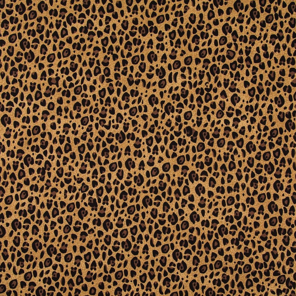 willowofthejungle OnlyFans profile picture