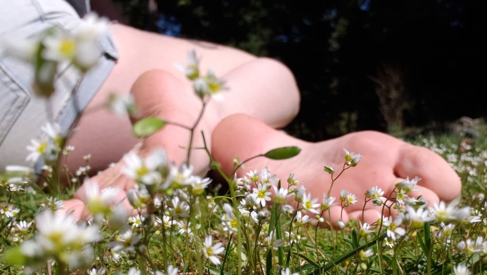 softcorekittyx OnlyFans profile picture