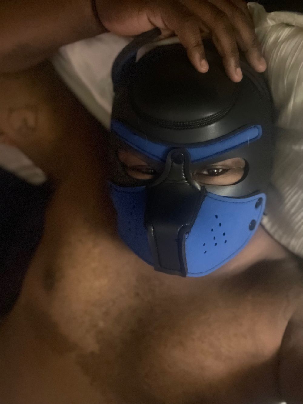 stiles541 OnlyFans profile picture