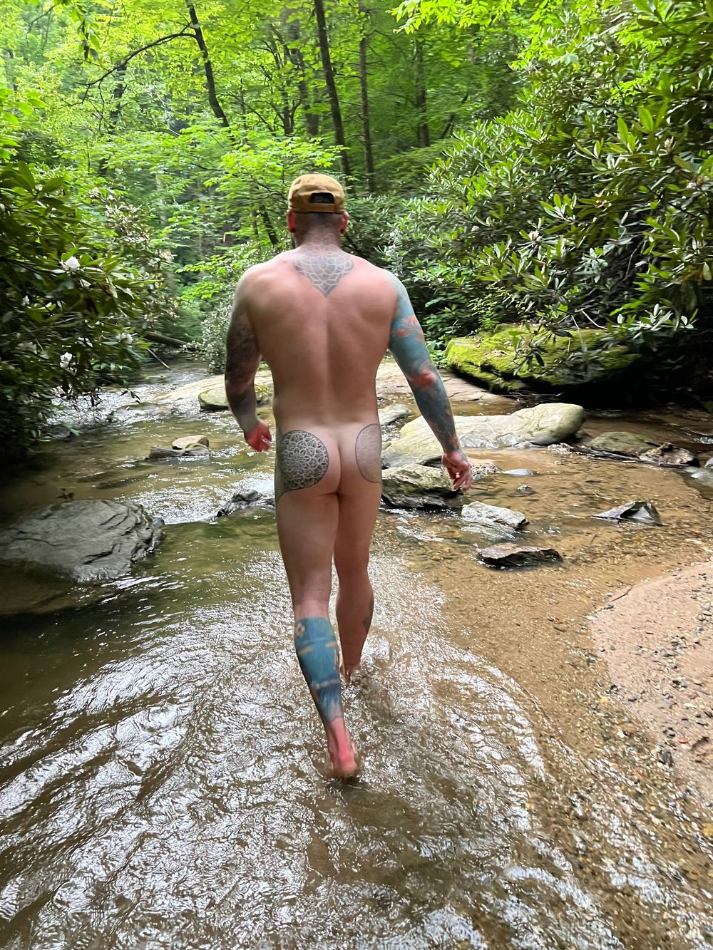 tattedlifter OnlyFans profile picture