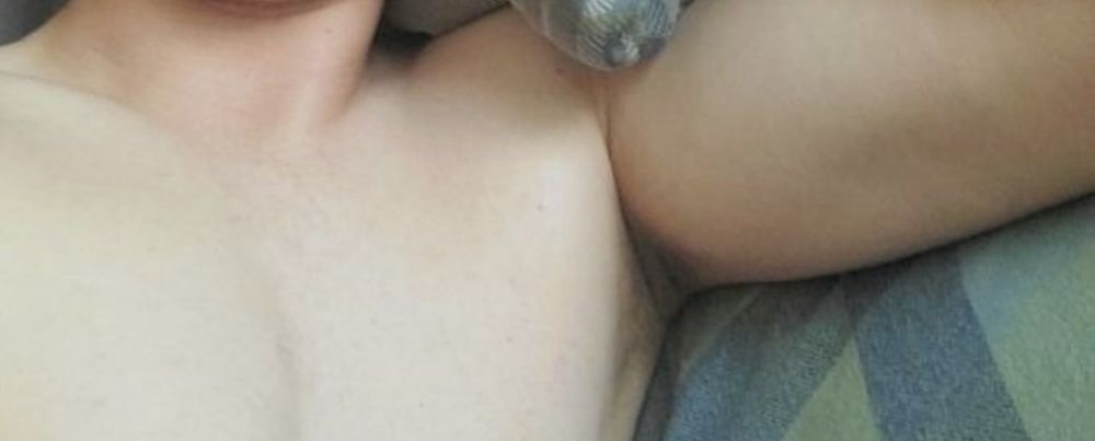 shycowboy OnlyFans profile picture