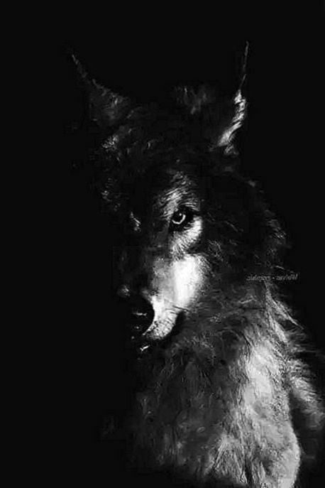 wolfangs OnlyFans profile picture