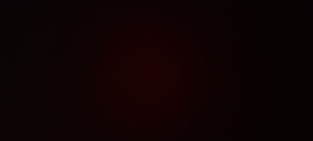 elisaabees OnlyFans profile picture