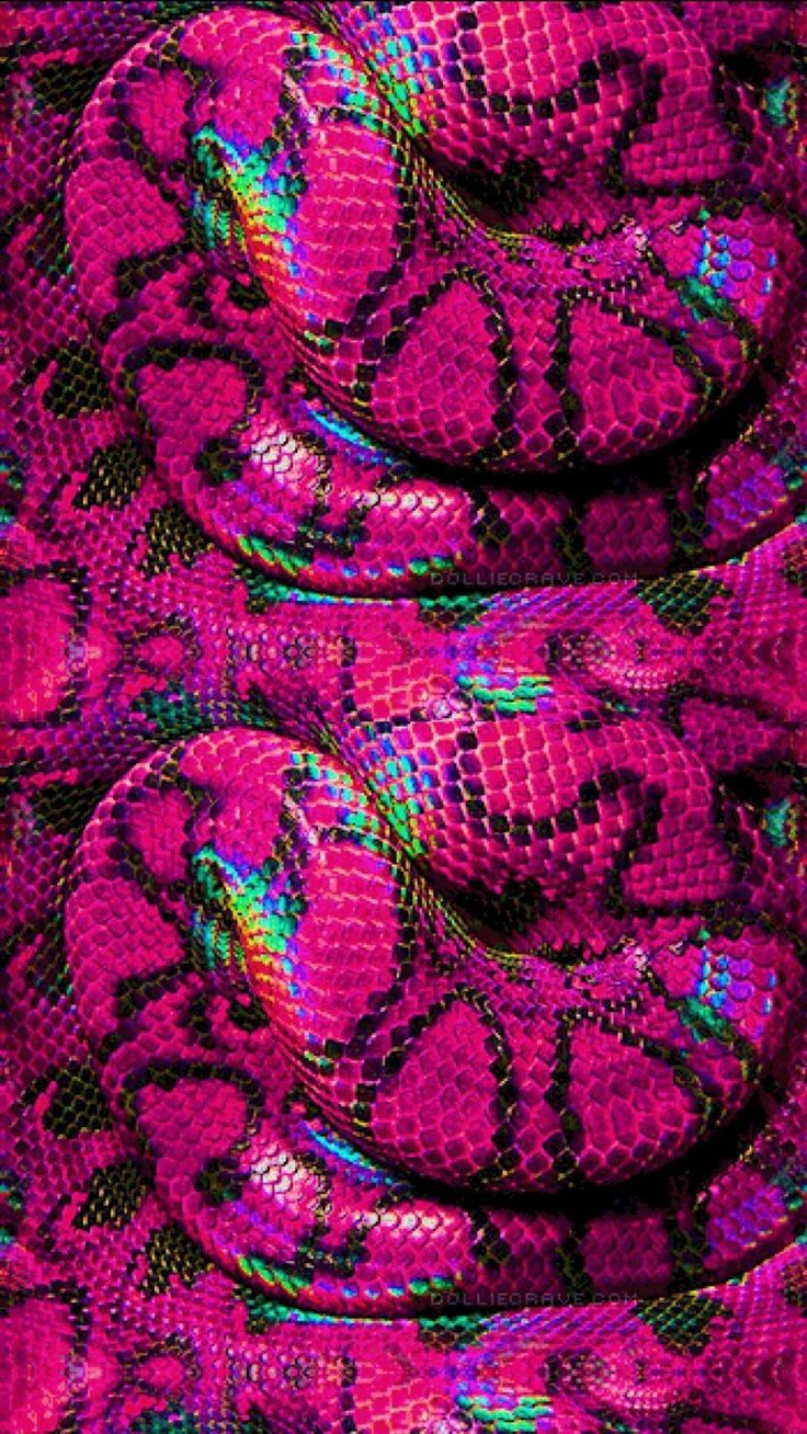bootyoverbrains OnlyFans profile picture