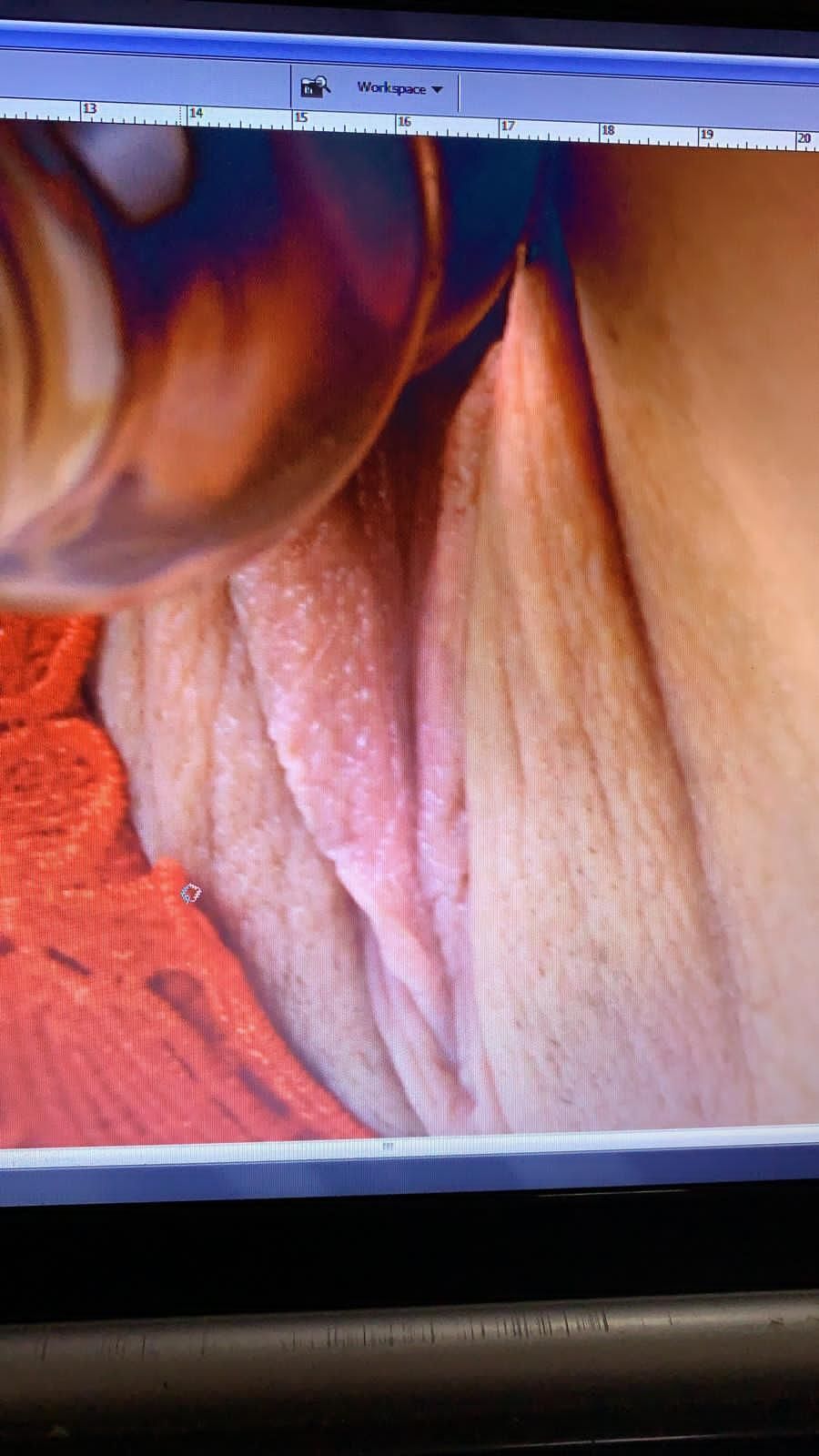 tiffanytidal20 OnlyFans profile picture
