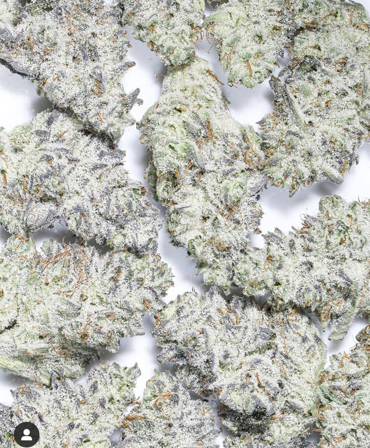 danktastic OnlyFans profile picture