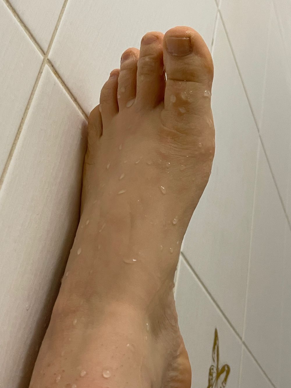polinaryab OnlyFans profile picture