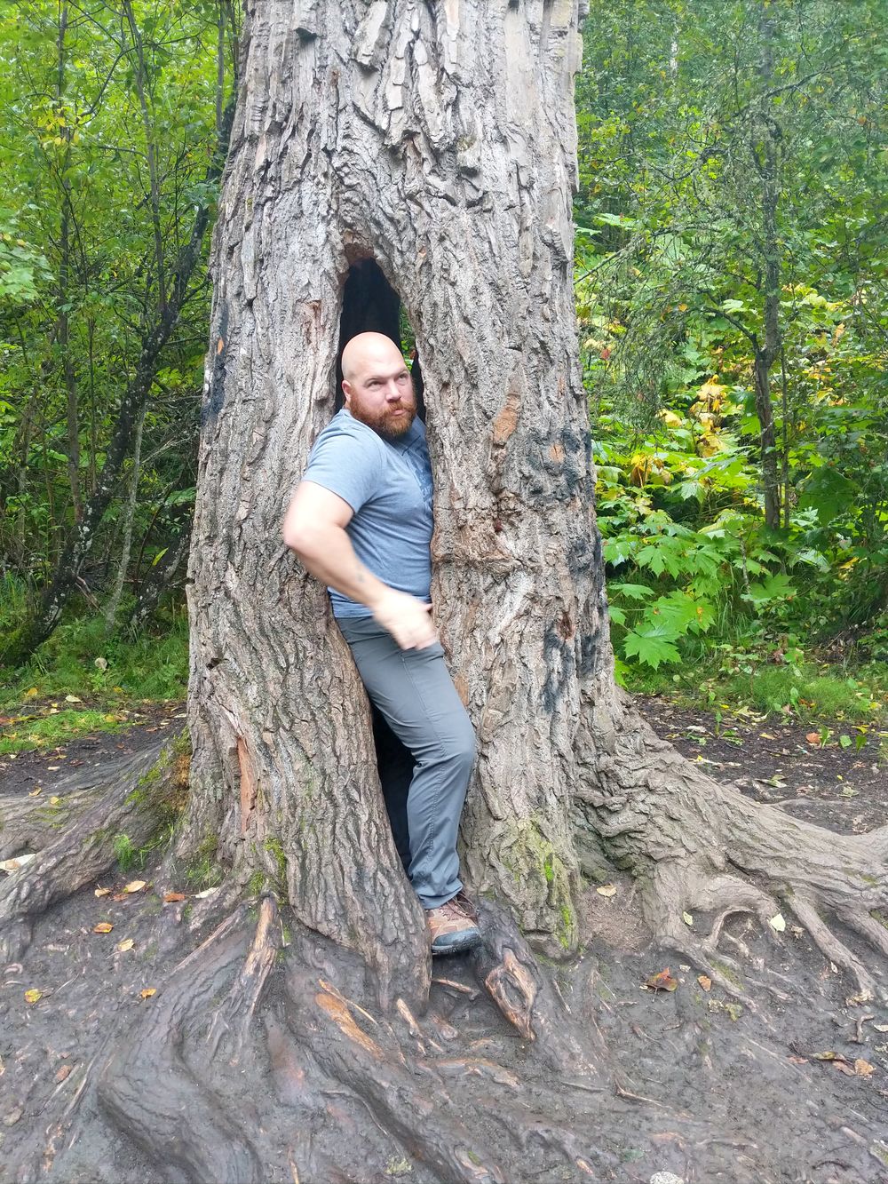 grumbleybear OnlyFans profile picture