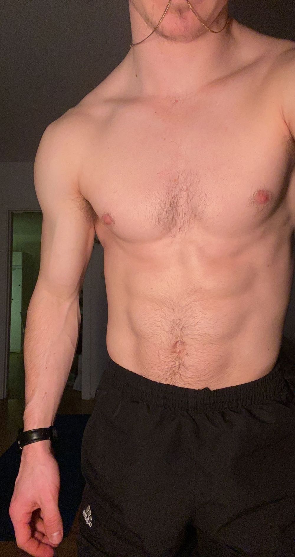 theswedenviking OnlyFans profile picture