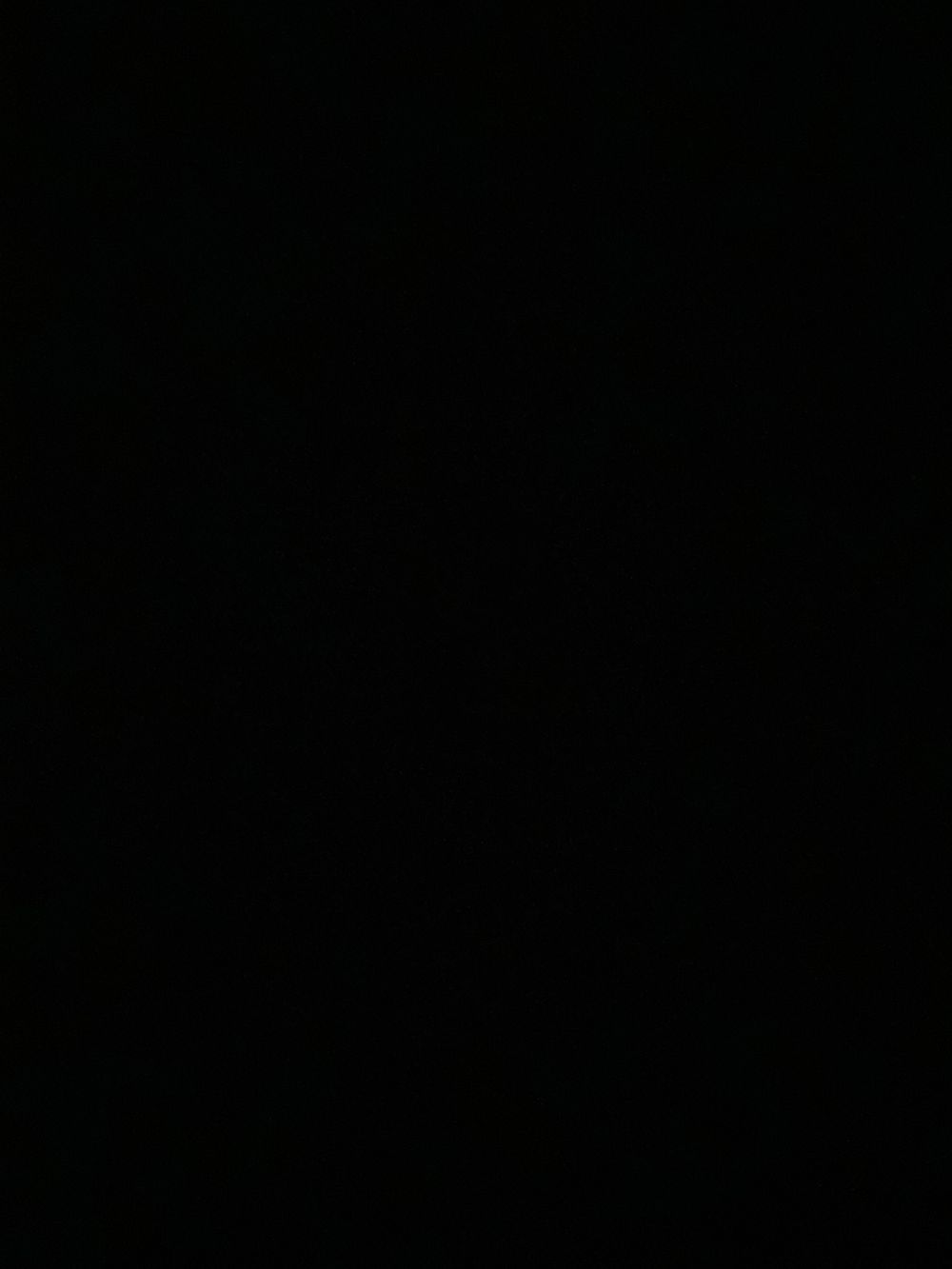 only1pp OnlyFans profile picture