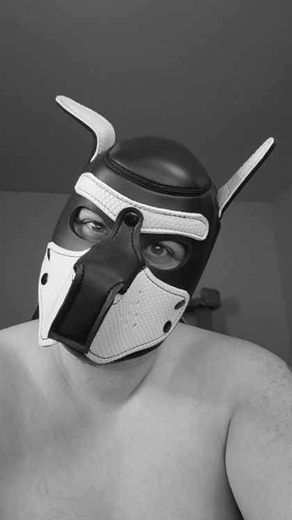 bruiserthemutt OnlyFans picture