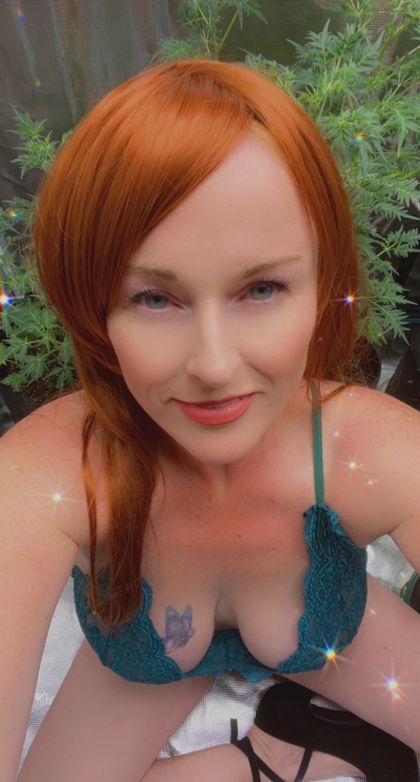 pennypaxapunch20 OnlyFans picture