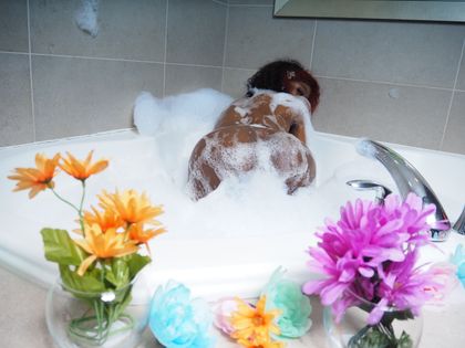 honeybrowncoco OnlyFans picture