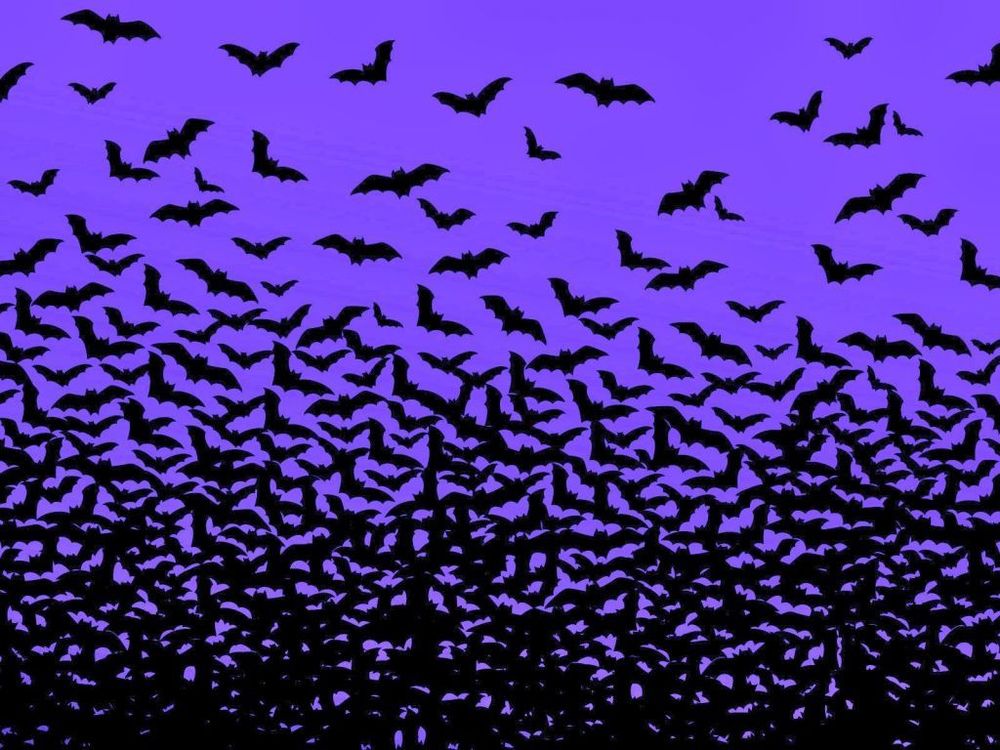 hotgothiccc OnlyFans profile picture