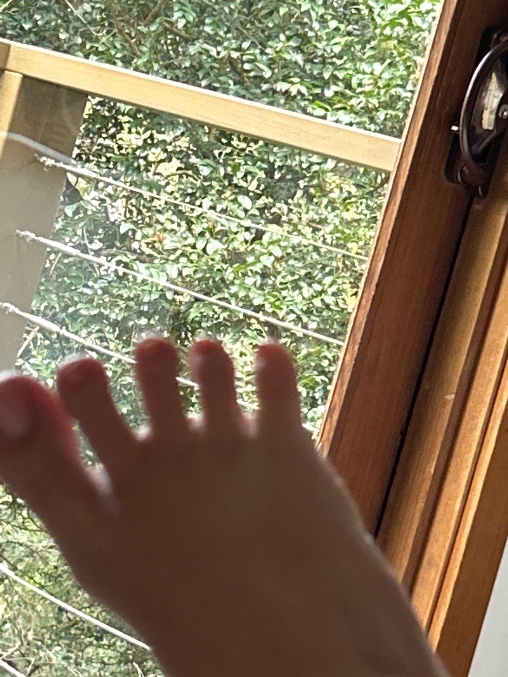 daniellastinfeet OnlyFans profile picture