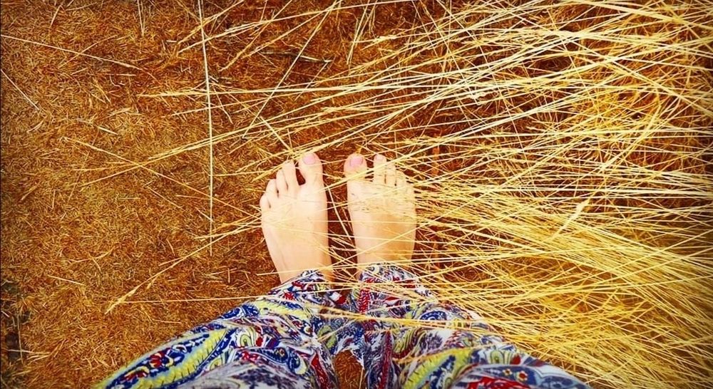 madamangelfeet OnlyFans profile picture
