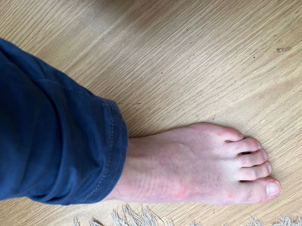 joelbelbin OnlyFans profile picture