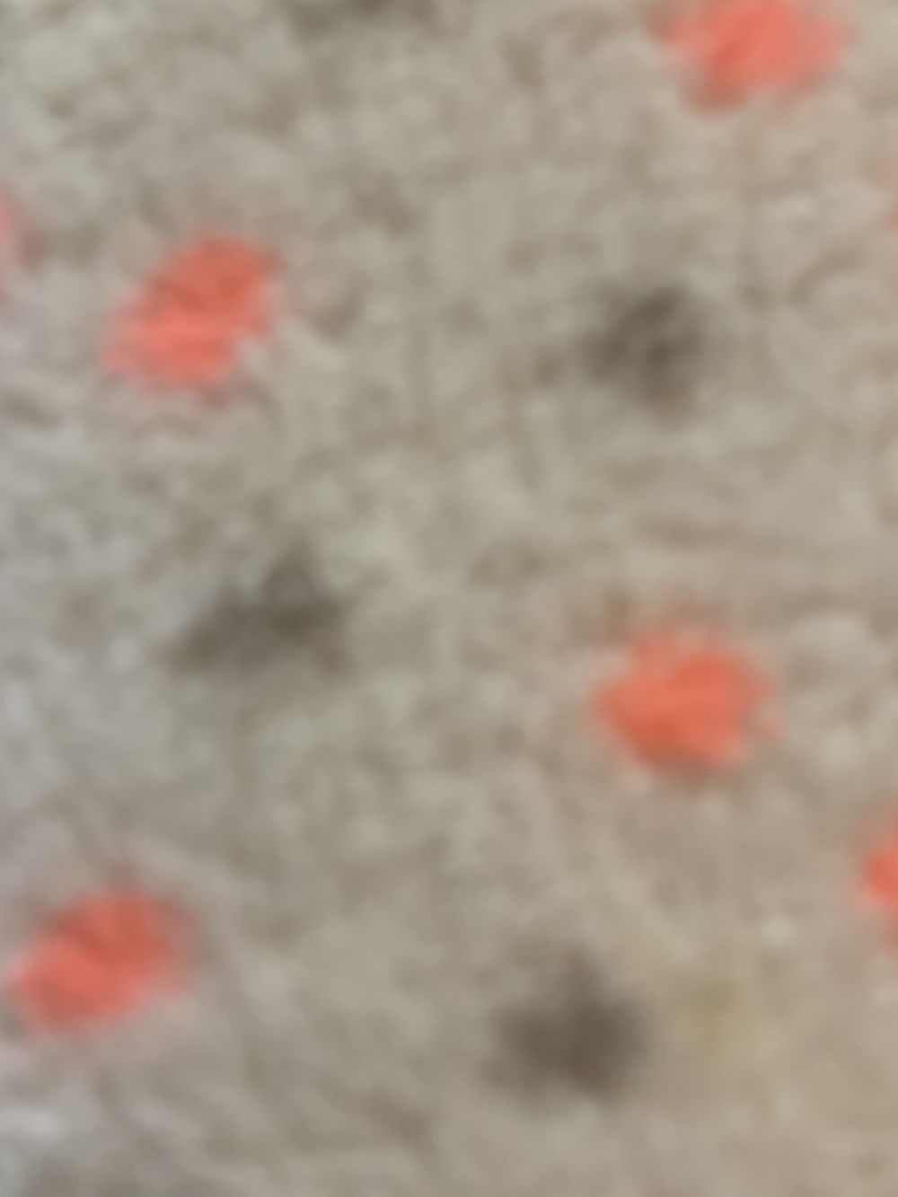 amberr OnlyFans profile picture