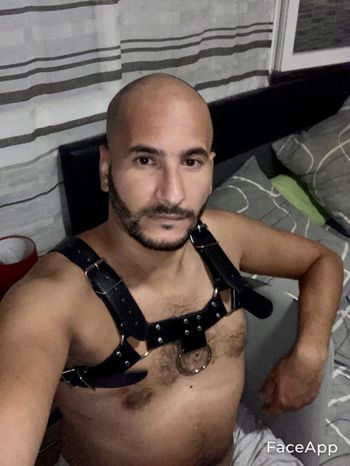 Yousri Zamouri